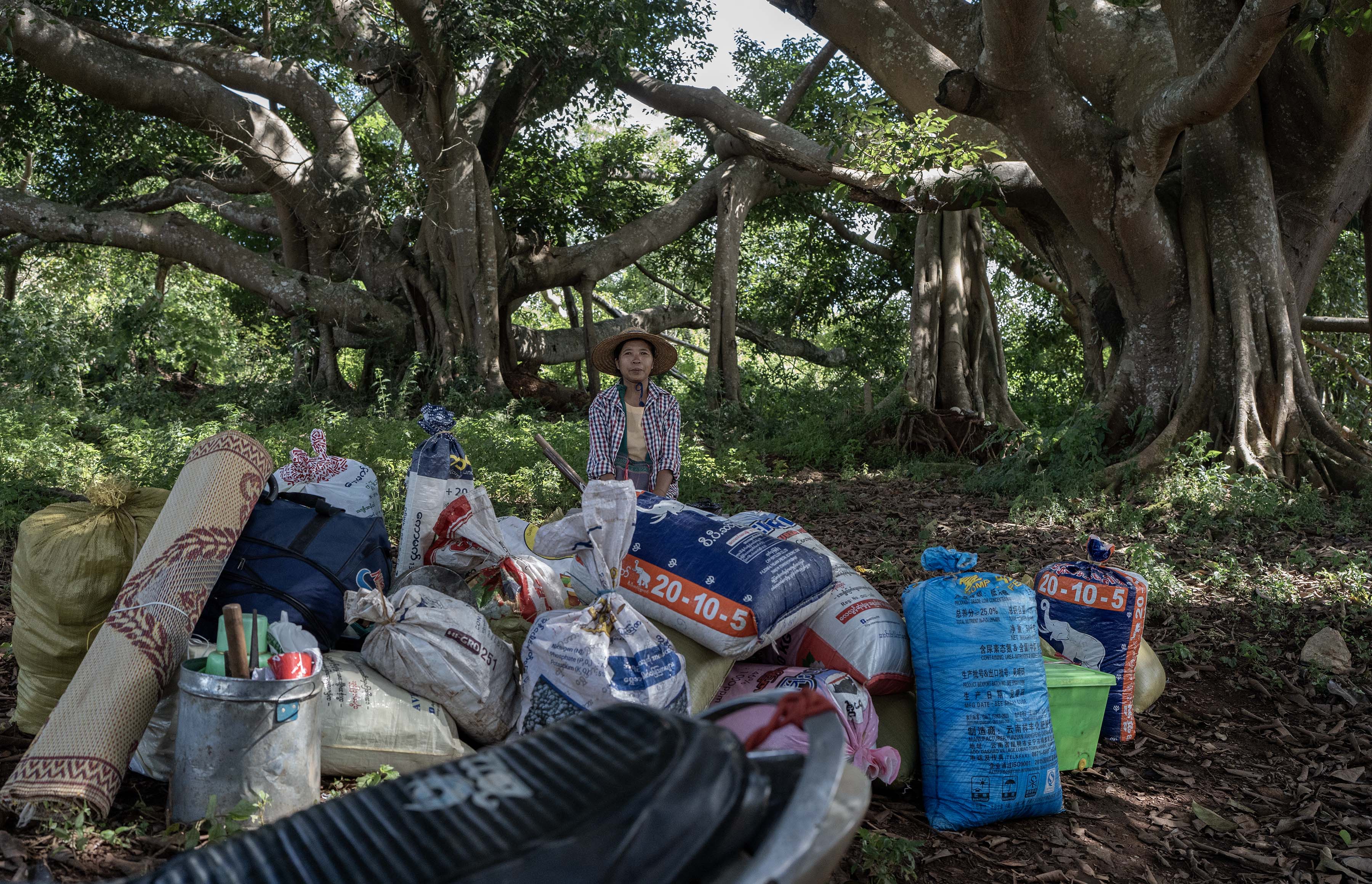 Than Aye, 54, sits in the shade of a giant banyan tree among several bags of freshly harvested rice after being dropped off from a KNDF-supplied truck in South Shan state, Myanmar, Oct. 30, 2024.